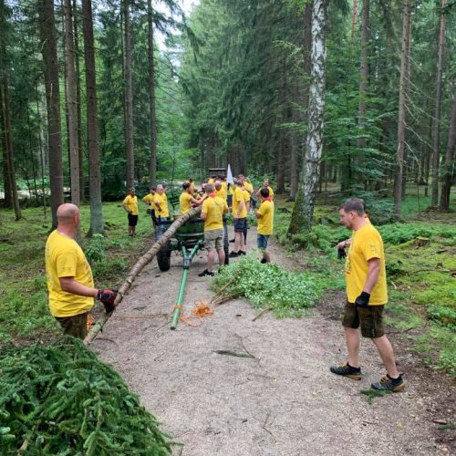 Baum einholen